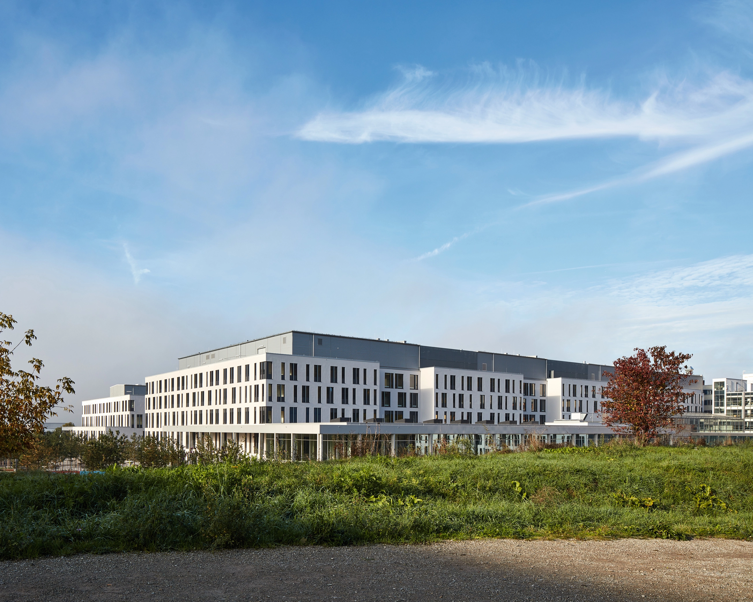 Maximilian Meisse Uniklinik Jena